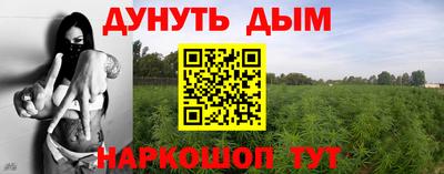 прущие крисы Нарткала