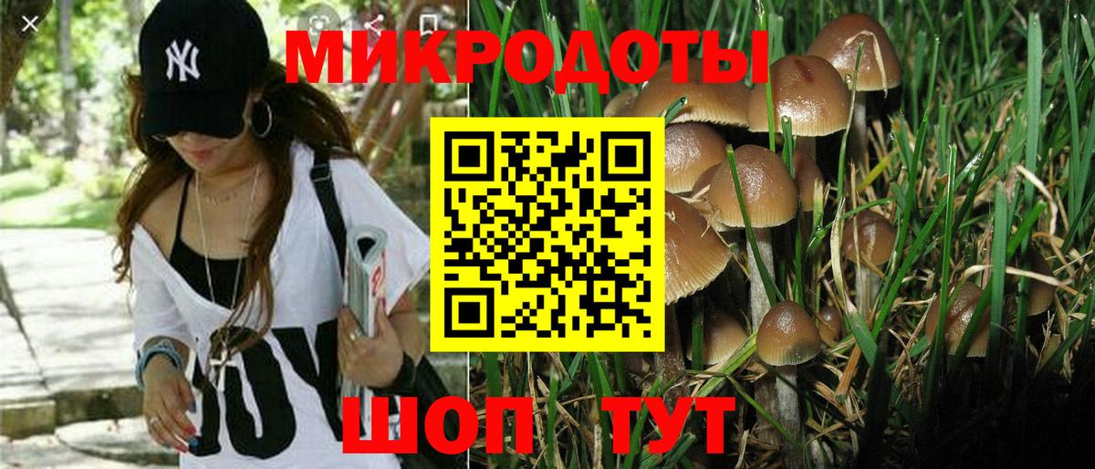как найти закладки  Галлюциногенные грибы GOLDEN TEACHER  Вход с VPN  Партизанск 